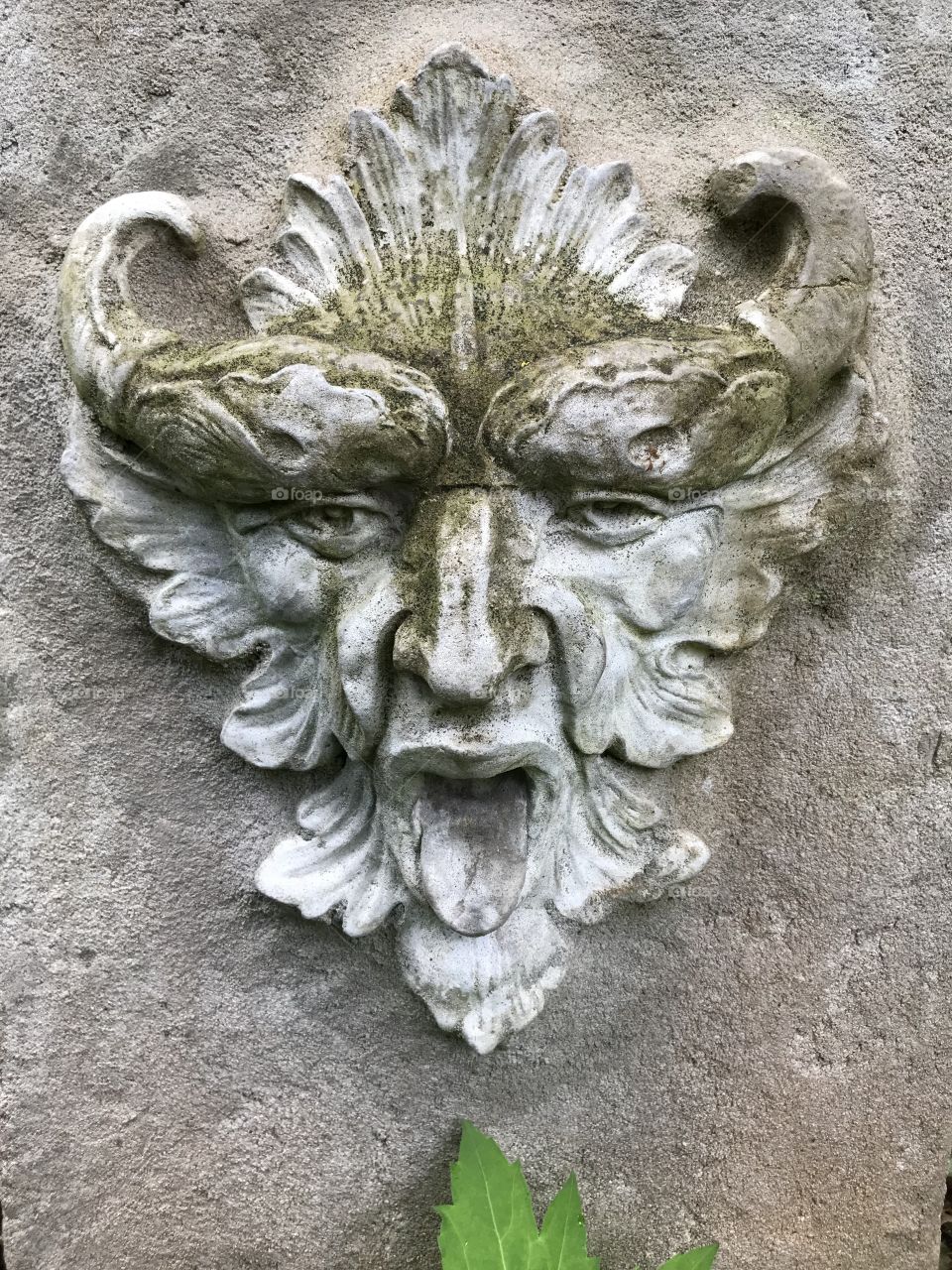 Mossy stone carved face