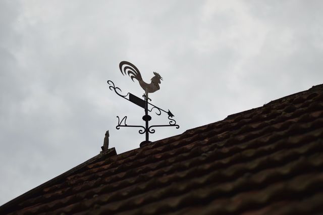 Weathercock