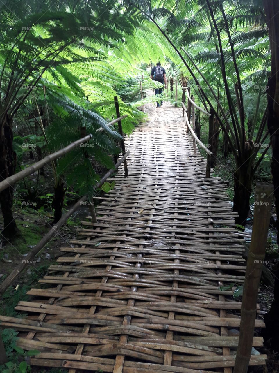 On bamboo bridge