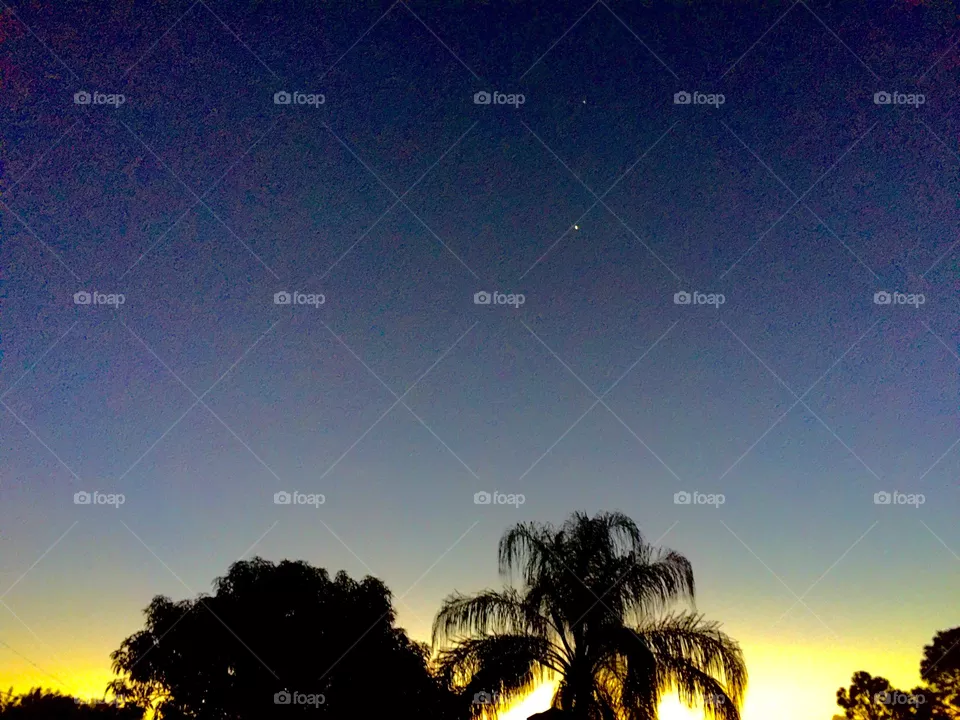 Stars