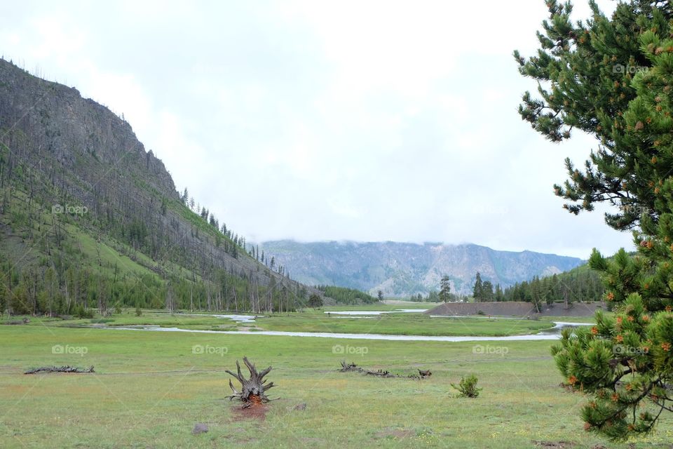 Beautiful valley. Lush green valley surrounded by hills. River meandering in the valley.