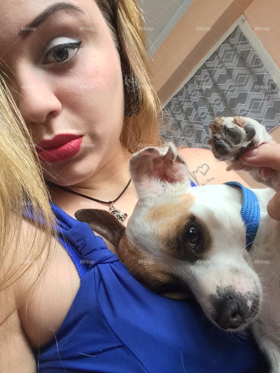 Hello I’m a loving dog