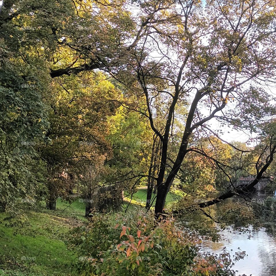 Бастионный парк