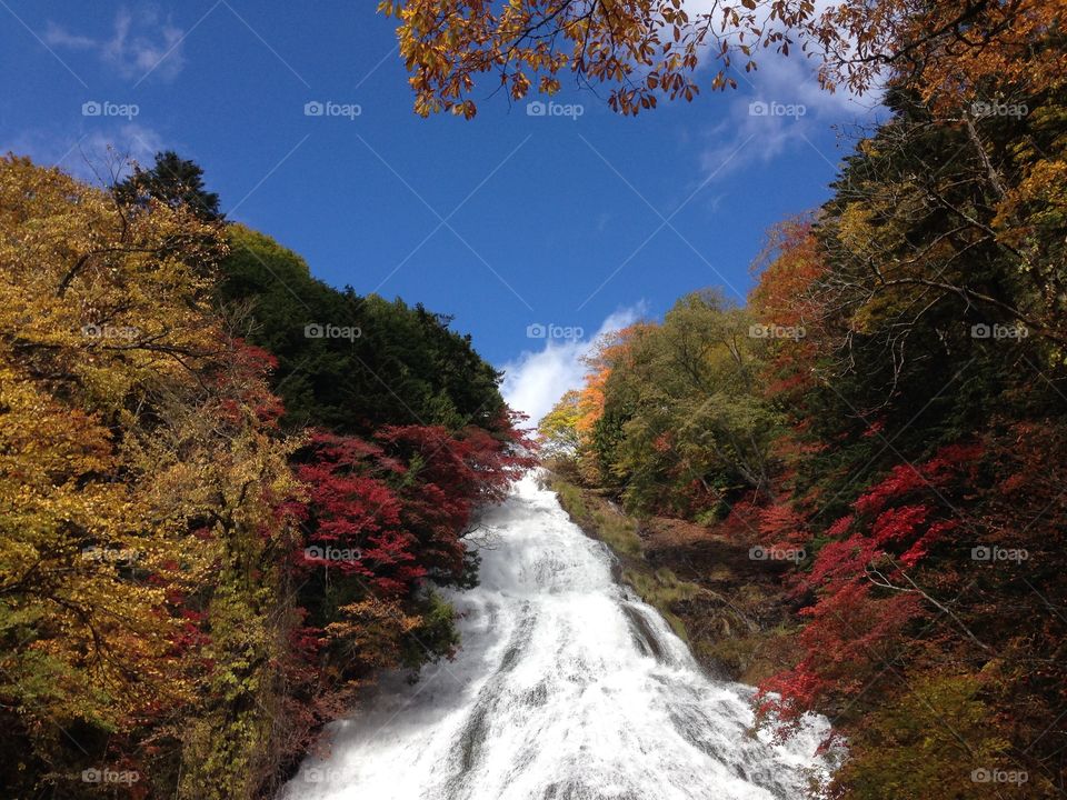Yudaki Waterfall , Nikko, Japan
