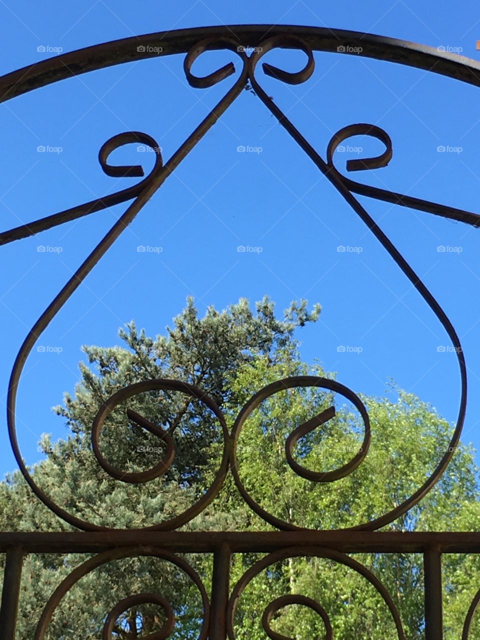 Heart shape in wrought iron gate on sunny afternoon with silver birch and pine trees 