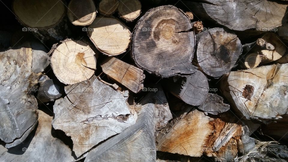 stacked firewood