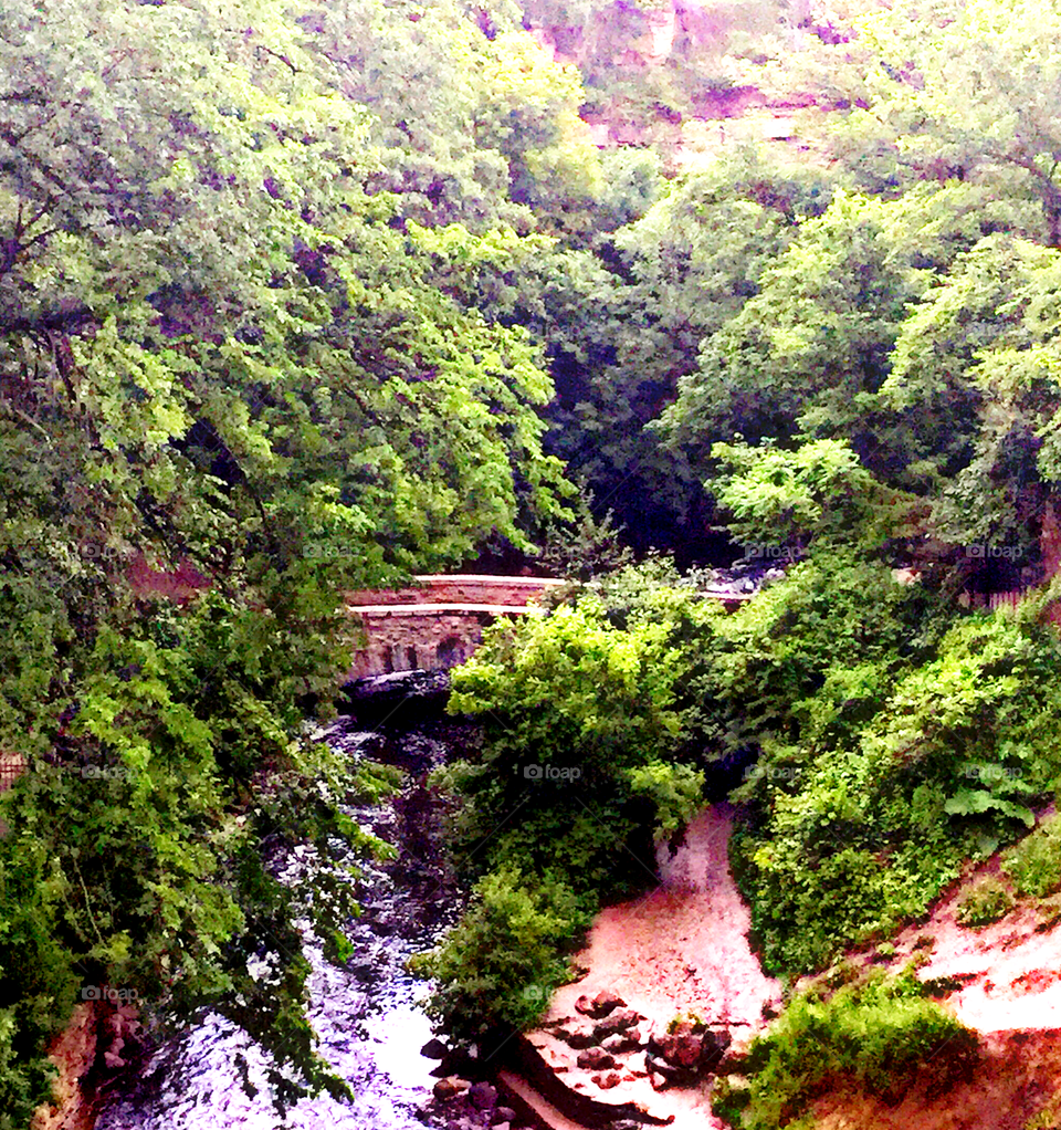 Tree, Nature, Wood, Landscape, Leaf