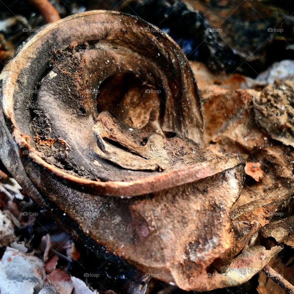 Close-up of can crusher