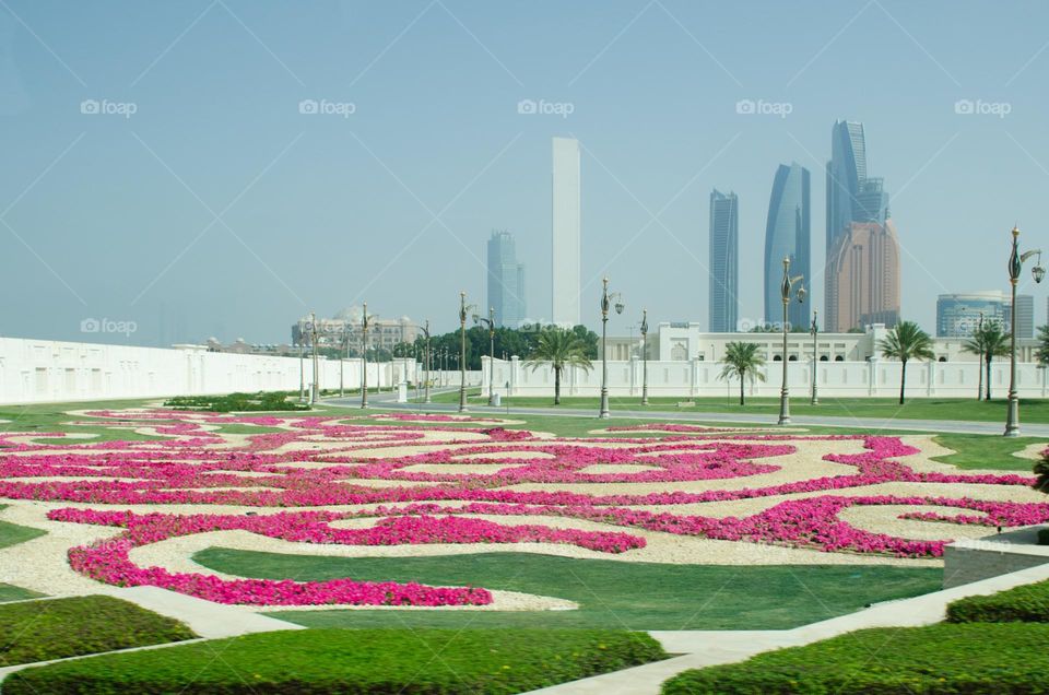 Urban Nature Plants, Abu Dhabi