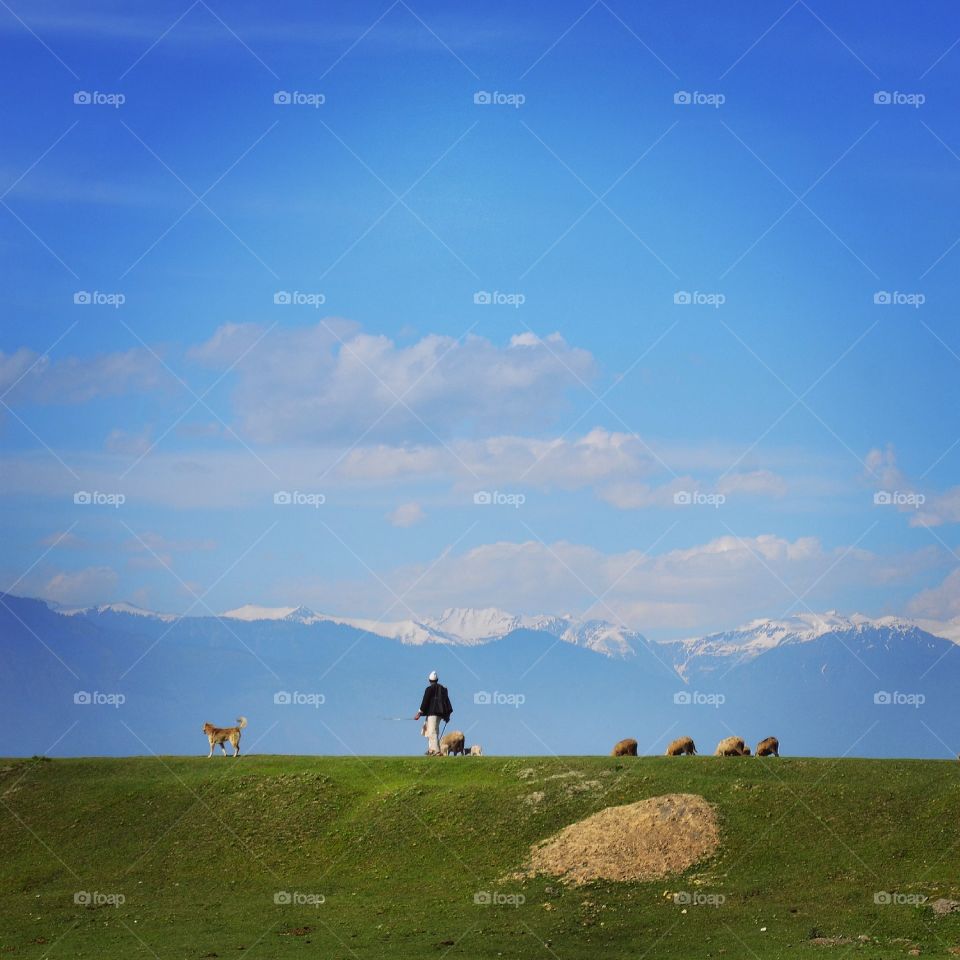 Landscape, No Person, Sky, Outdoors, Grass