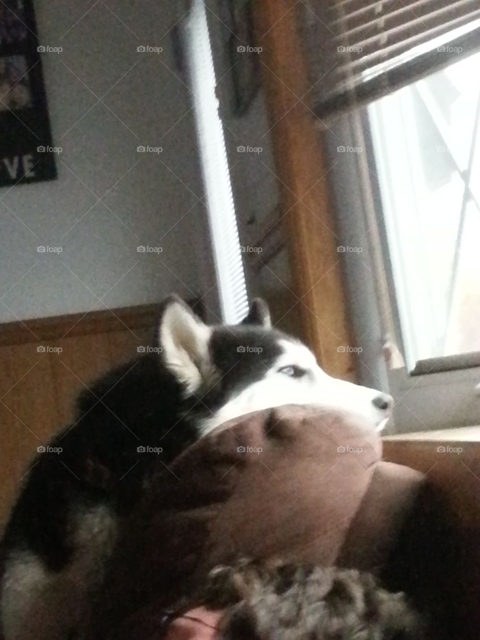 Waiting for the Snow! 