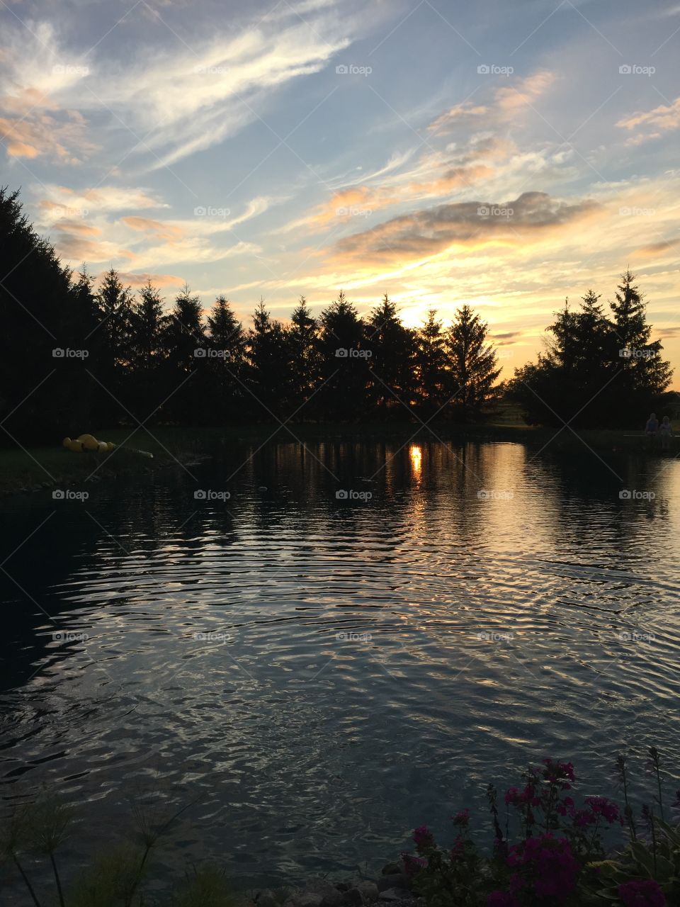 Evening pond 1
