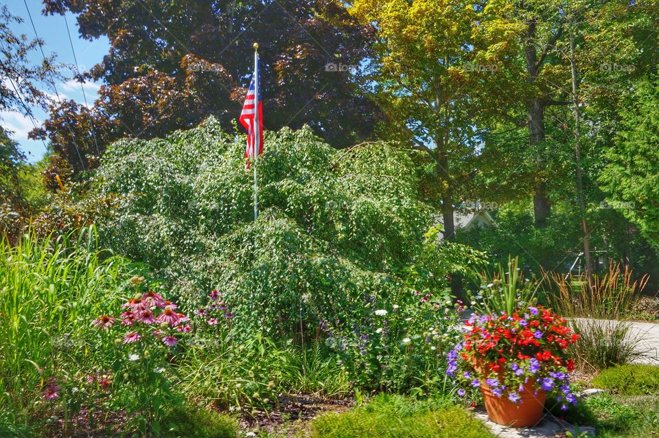 Front Yard. Pretty Lawn