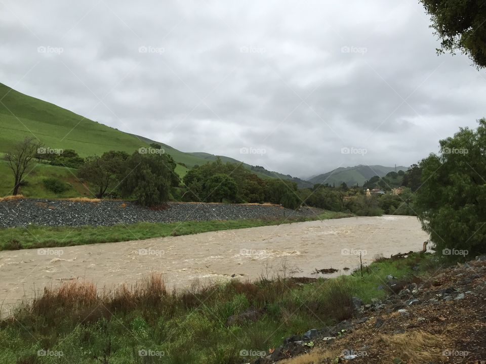 Creek full of muddy waters after spring rains