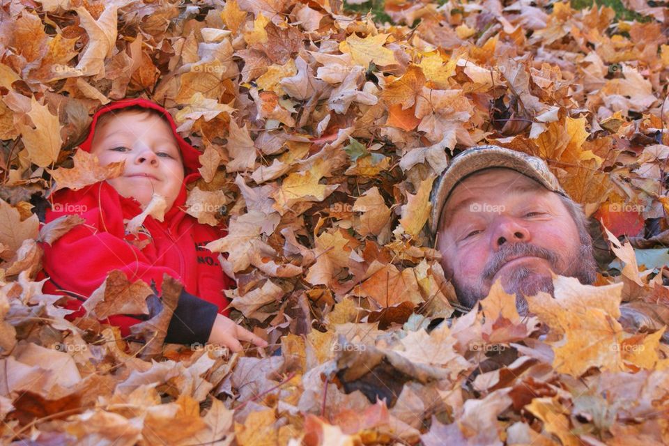 Leaf piles!