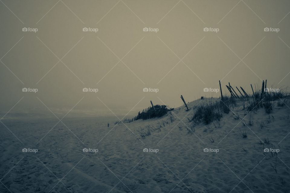 Monochromatic Beach Scene, Landscape Photography, Beach Photography