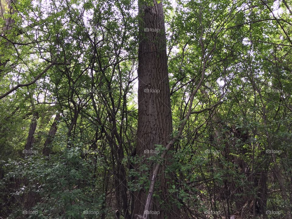 Standing out in a crowd