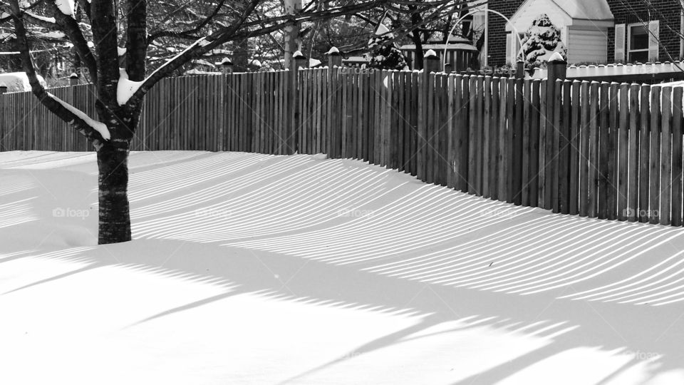 Lines in the Snow