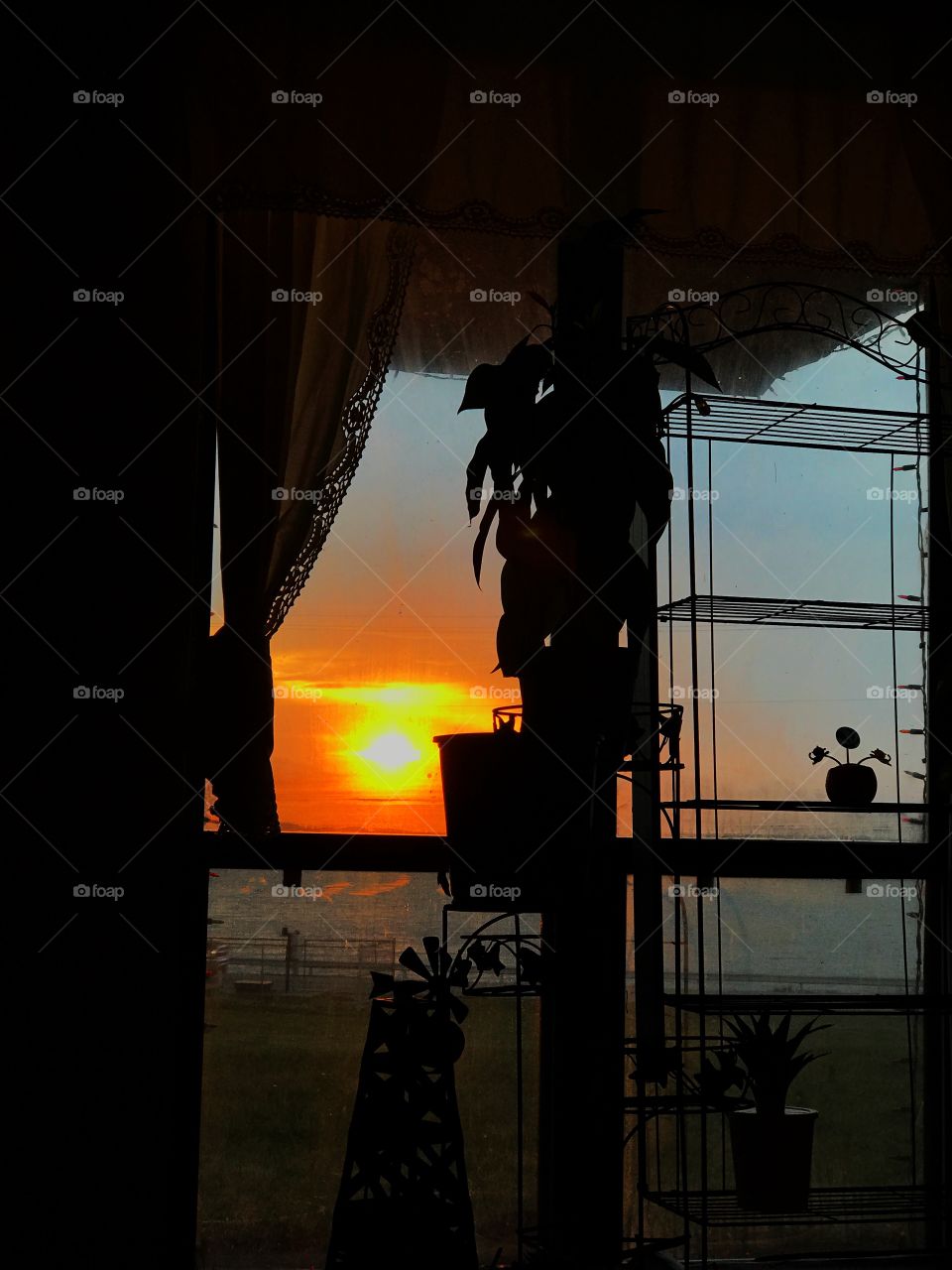 Beautiful view at home 