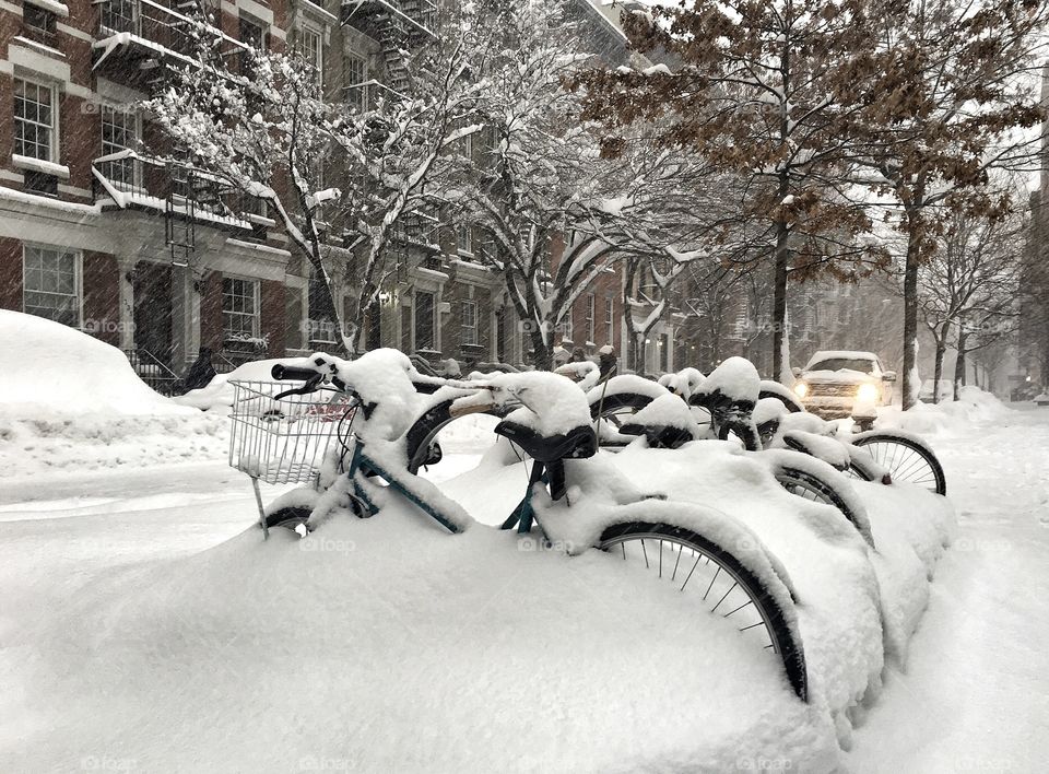 Bicycles Buried in the Blizzard, New York City 