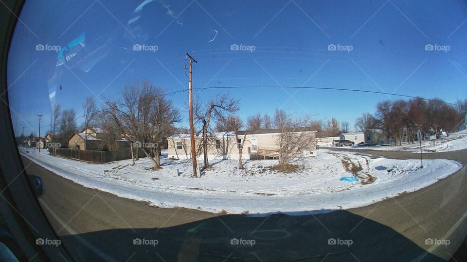 Winter, Snow, Weather, Tree, Storm