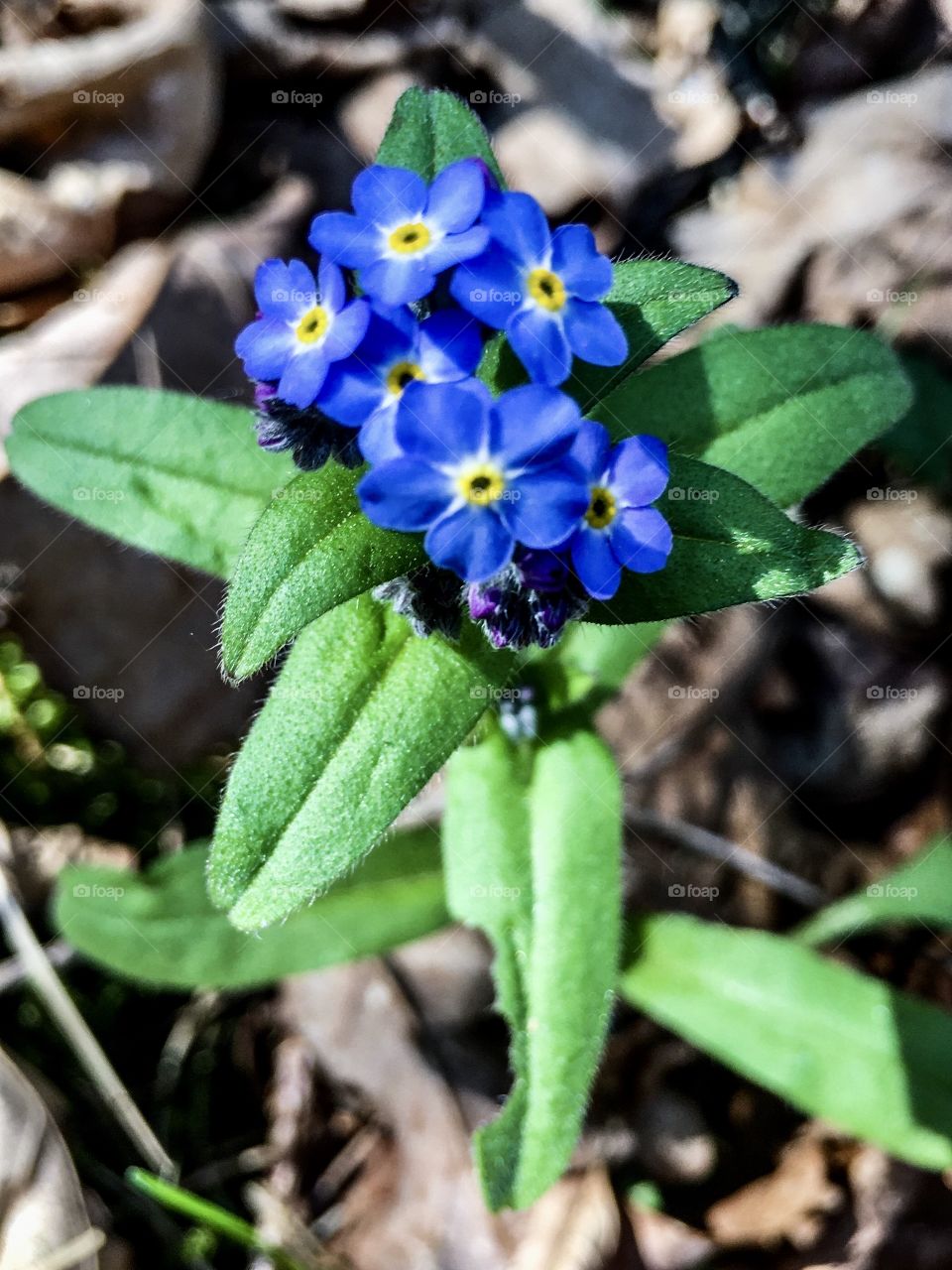 Don’t.. Forget About Me 