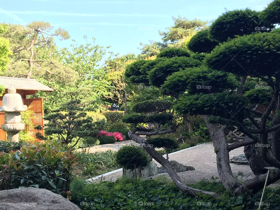 Garden, Tree, Landscape, Nature, Travel