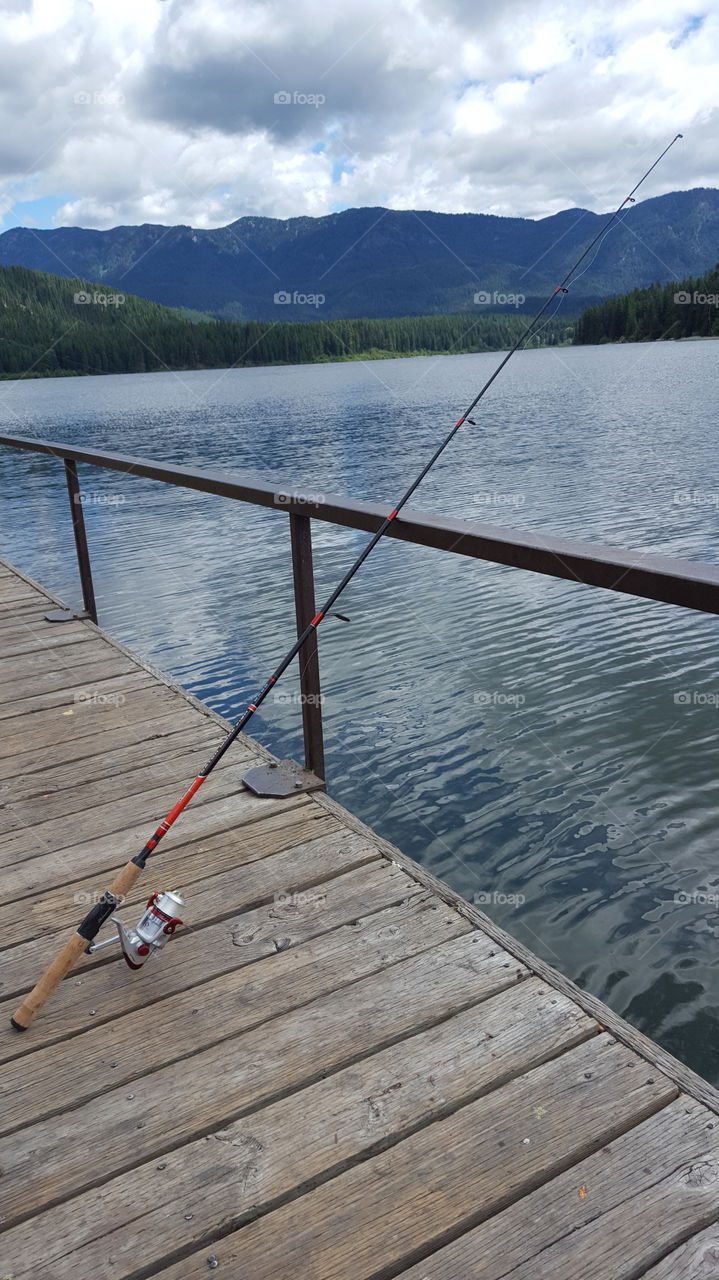 fishing pole