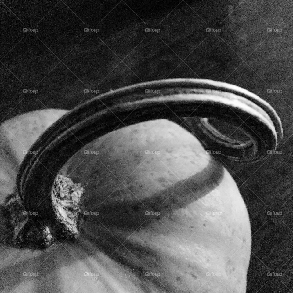 black and white macro photography pumpkin sitting on table