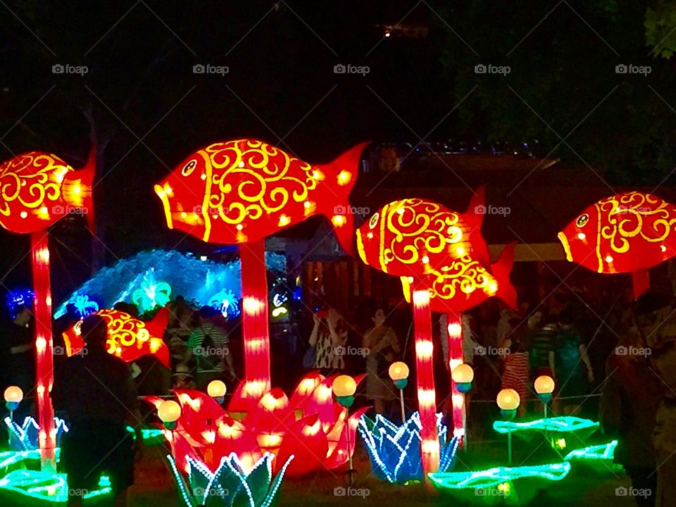 Chinese Lantern Festival 