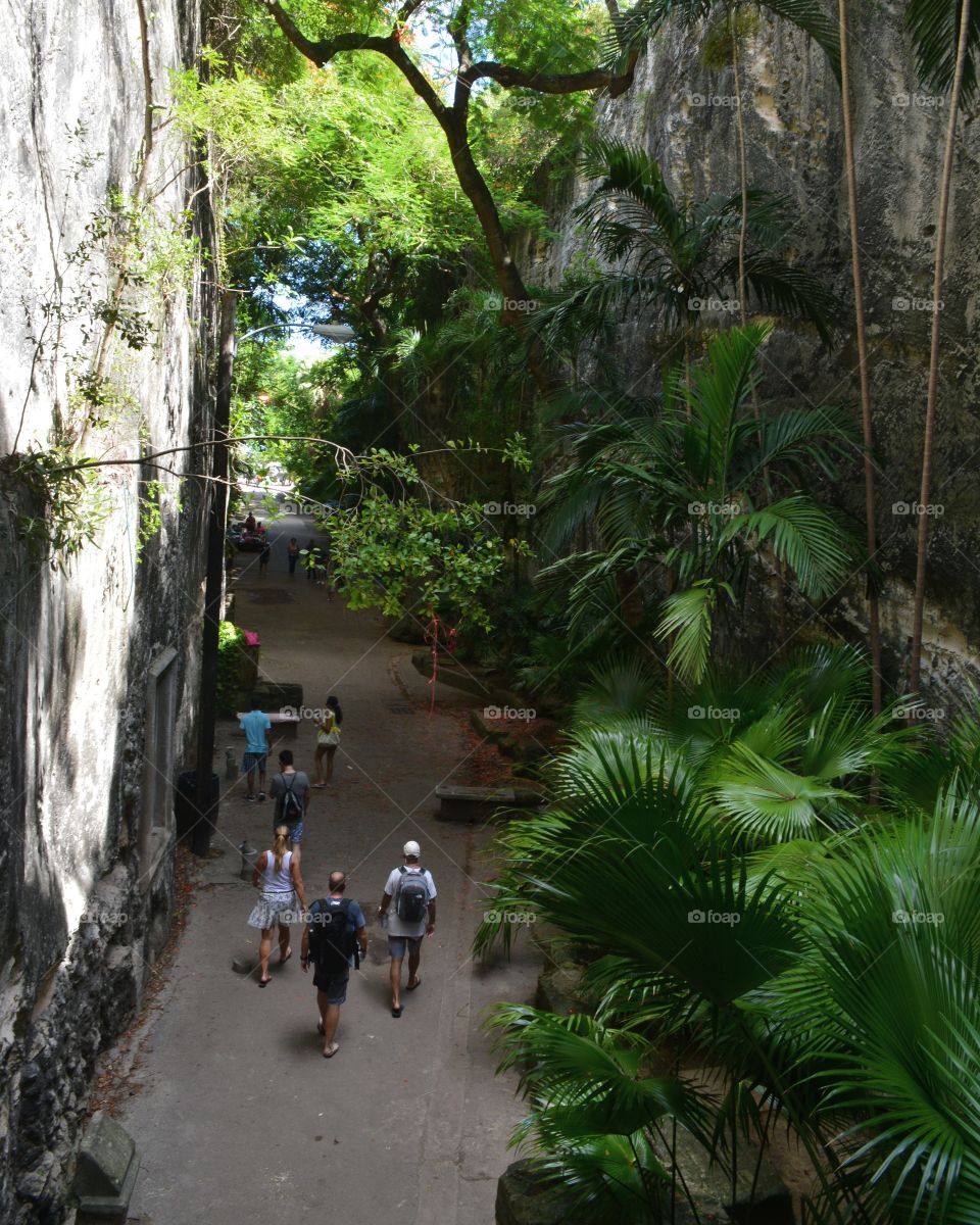 Pathway to the Queen's Staircase
