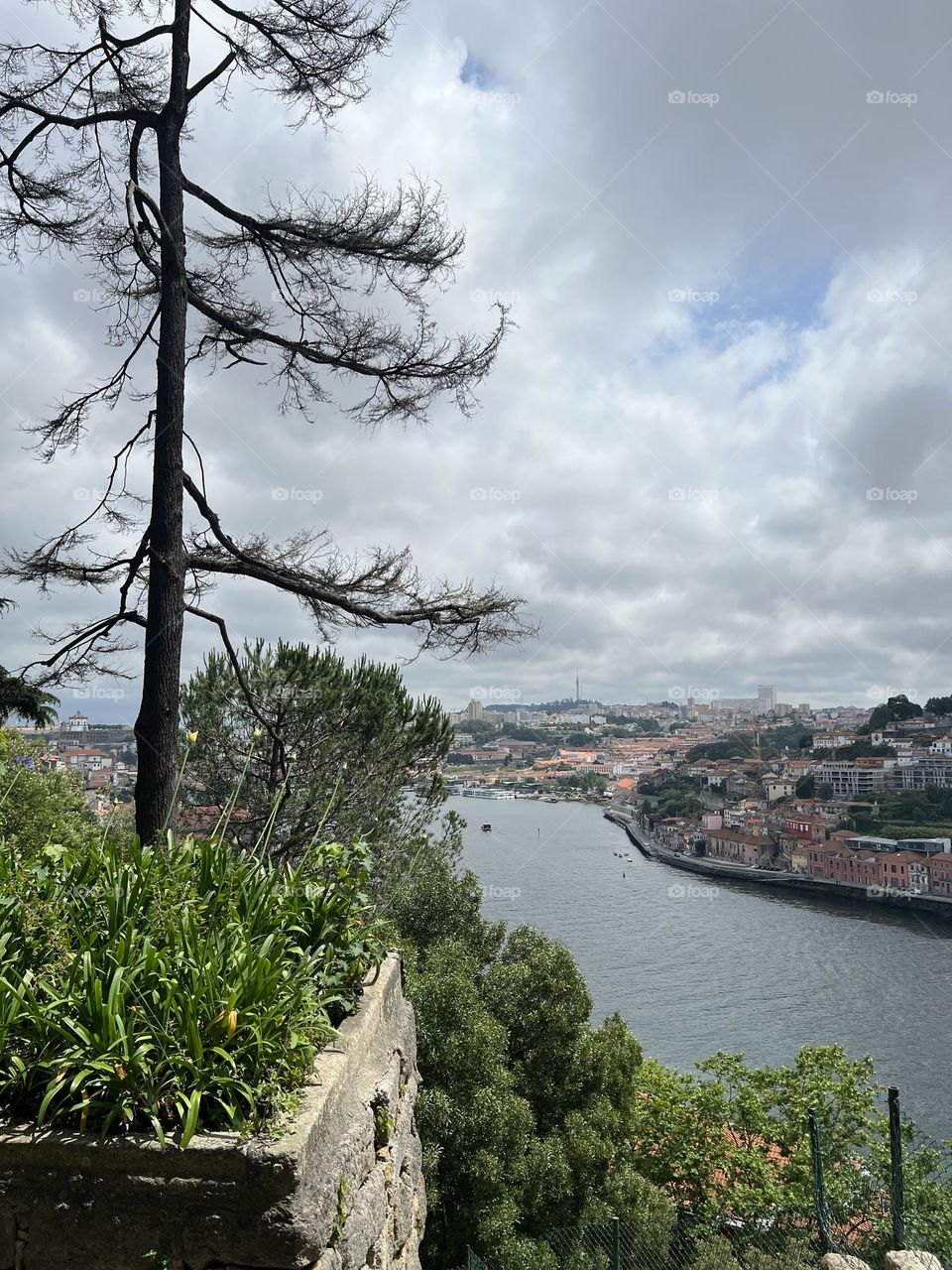 Garden by the Douro River 