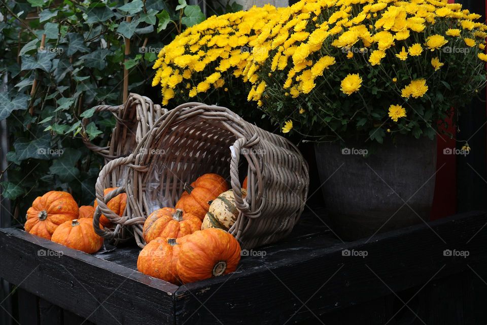 Autumn snacks