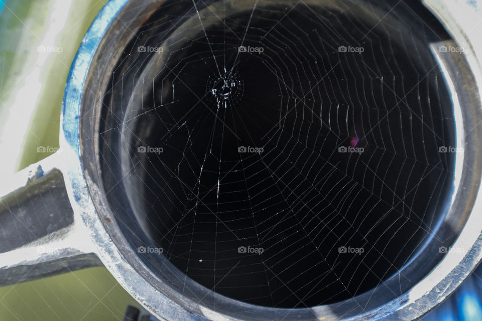 Spiderweb in a tailpipe