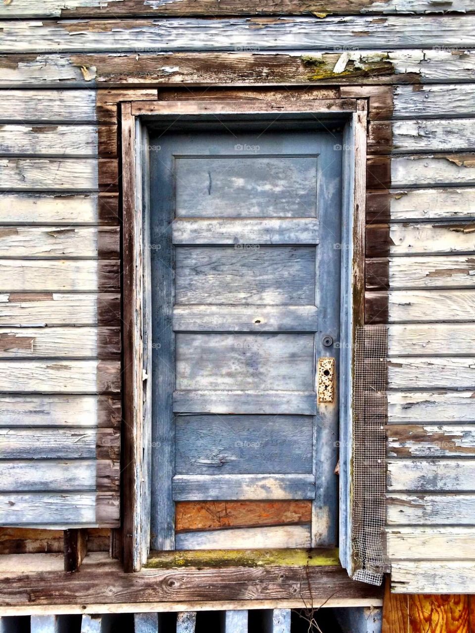 Door