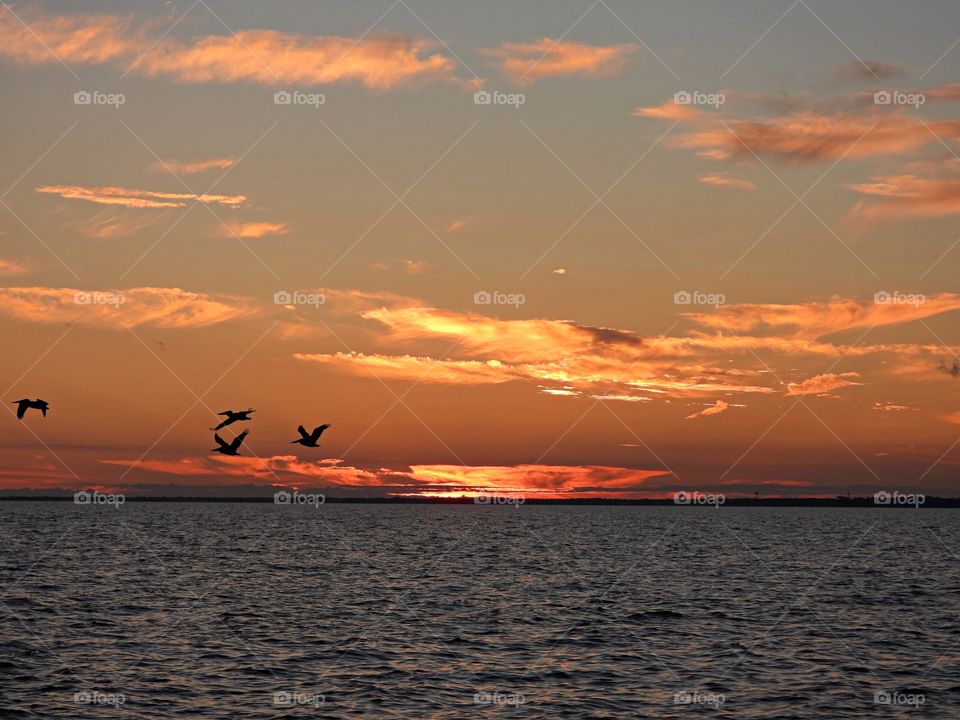 Pelican silhouettes are flying through a beautiful sunset sky over the Bay on their way home