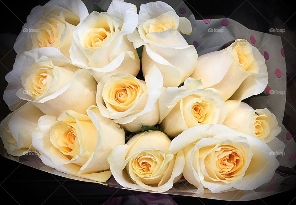 Yellow roses
