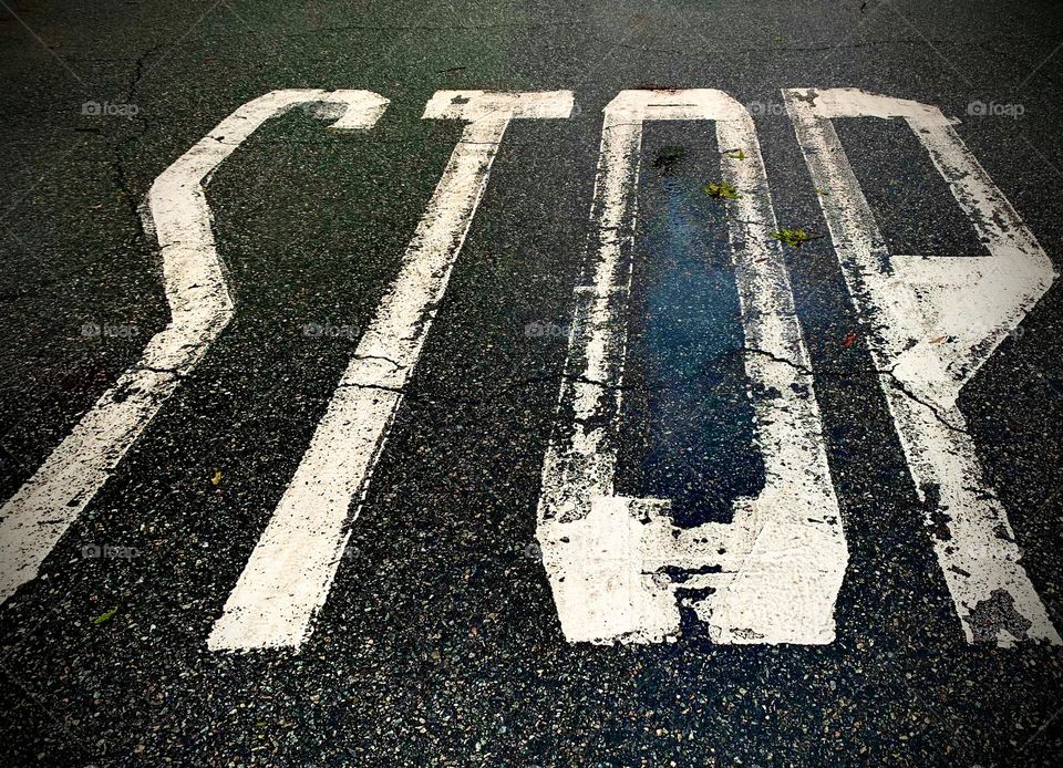 STOP Letterings Word Road Sign Written On The Asphalt On The Ground On The Ground Of The Parking Lot In White Paint.