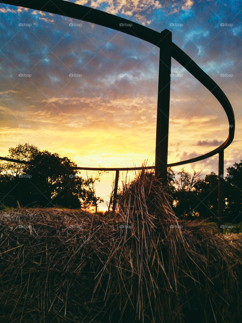 Hay Ring at Sunset