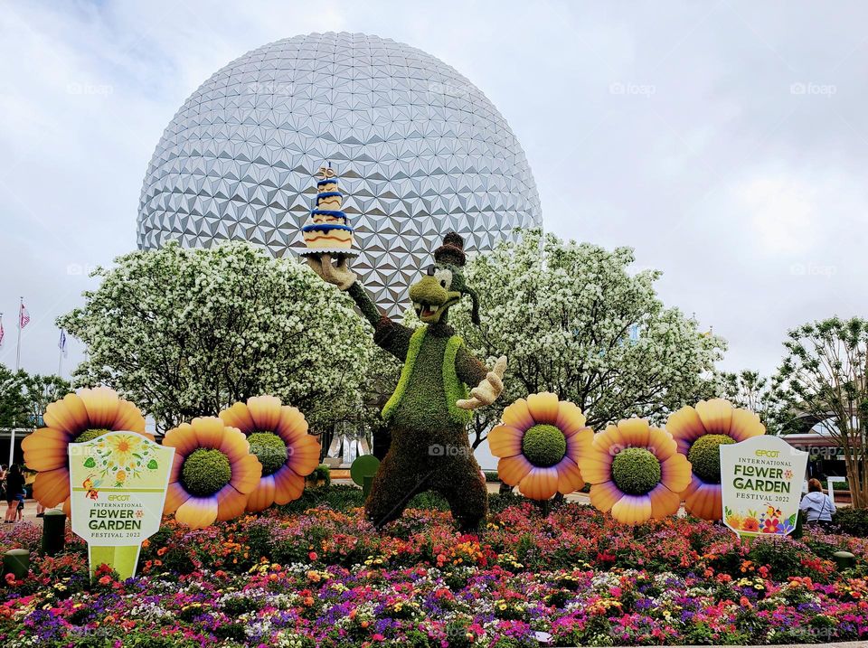 Disney Spring Floral