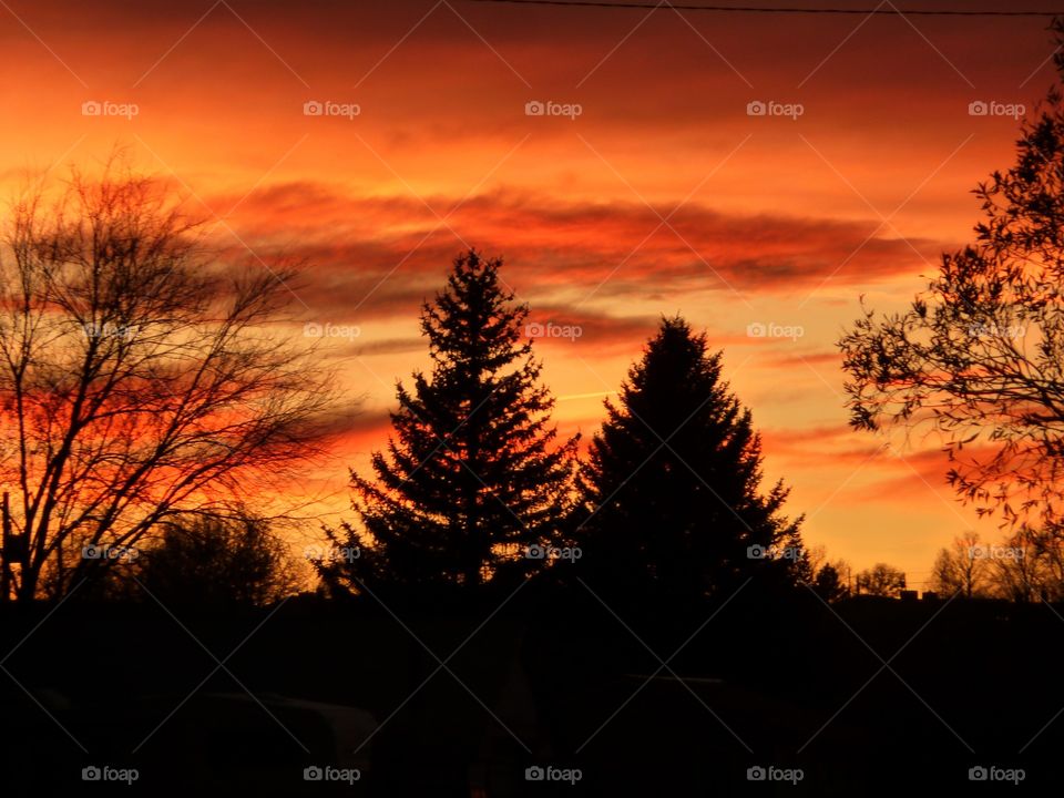 Silhouette Against a Sienna Sunset