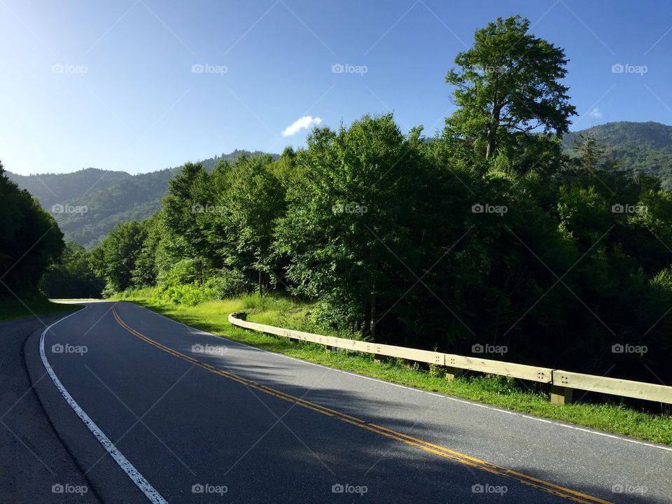 Road, Asphalt, Highway, Tree, Guidance