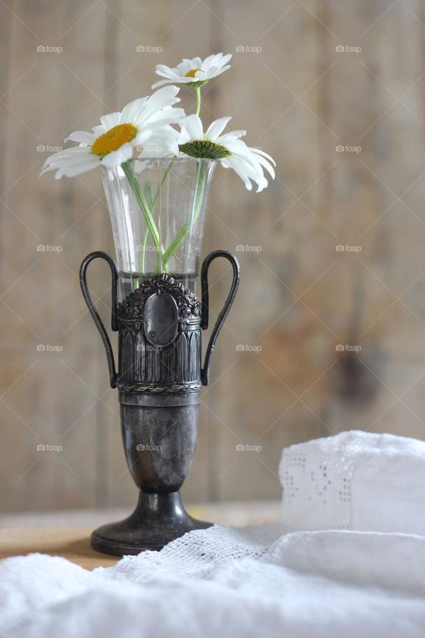 White flowers in a vase