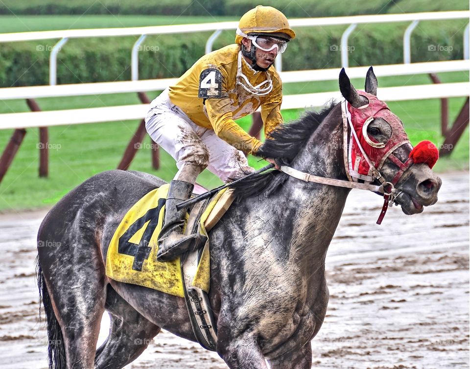 Racing in the Mud. Jockey Wilmer Garcia returns from a rough muddy trip at historic Saratoga aboard Frosted Market. 