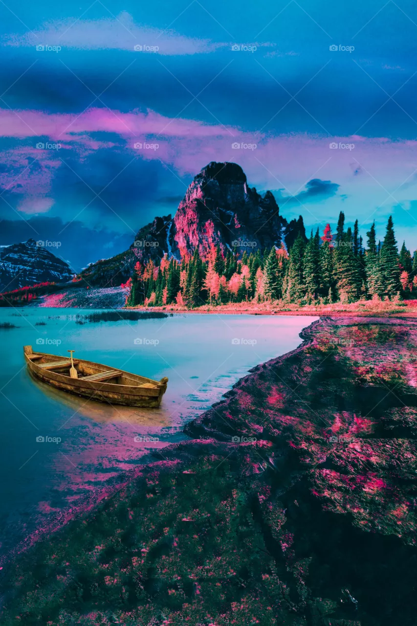 beautiful nature landscape photography