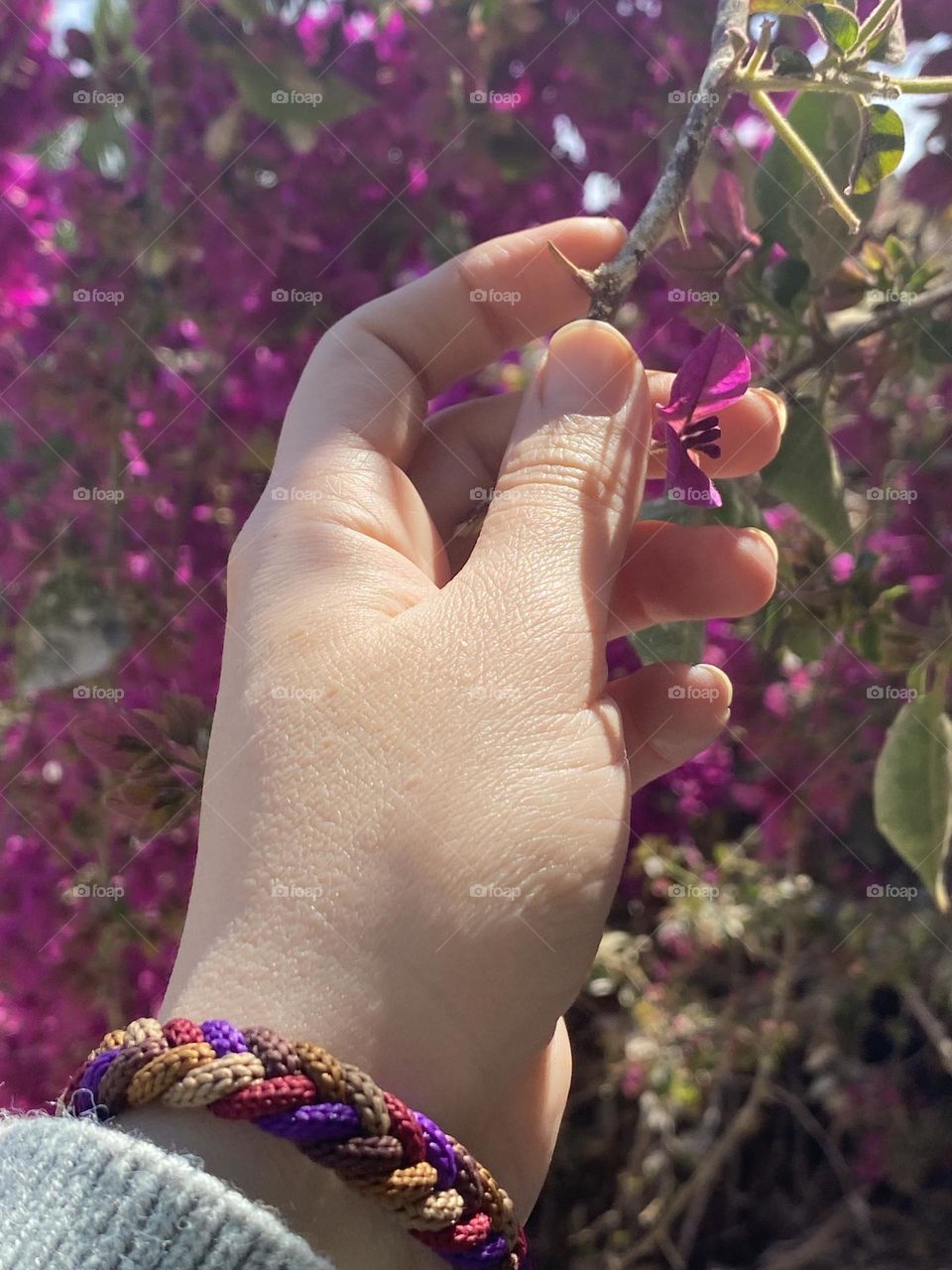 Enjoying nice weather and touching the flowers 