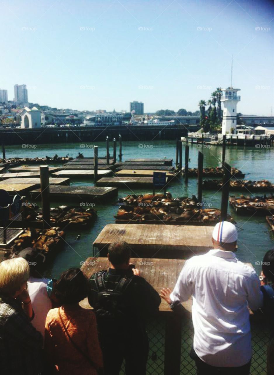View of Pier 39 in San Francisco