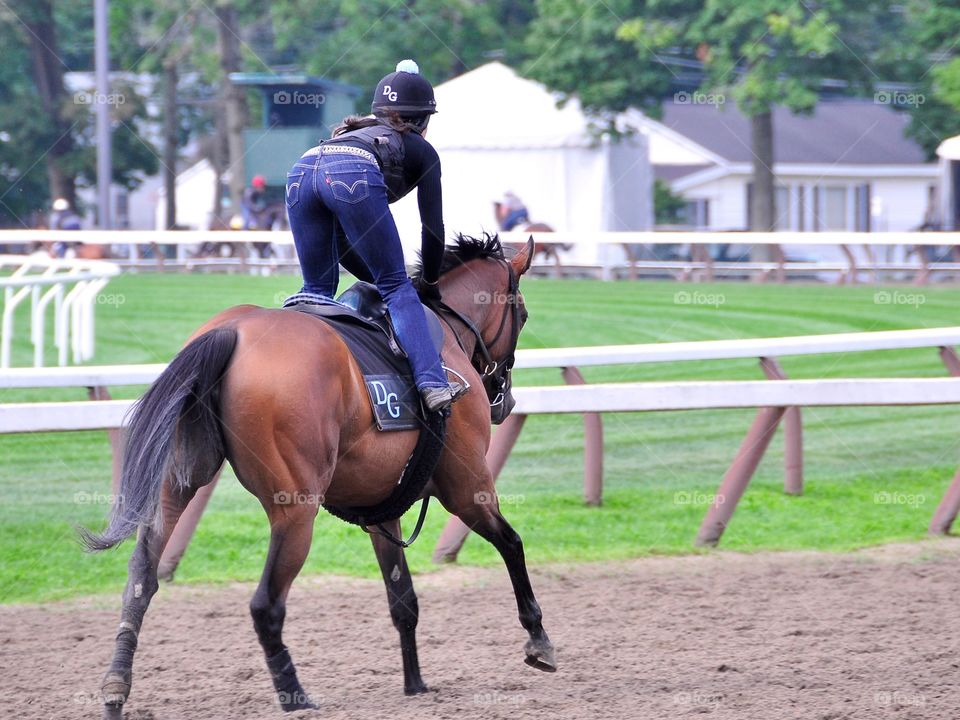 Saratoga in the Summer. Saratoga morning workouts with all the exercise riders doing their drills with these powerful racehorses. Feel the power