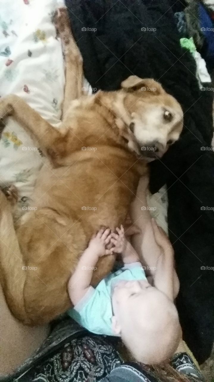 boy and his pup