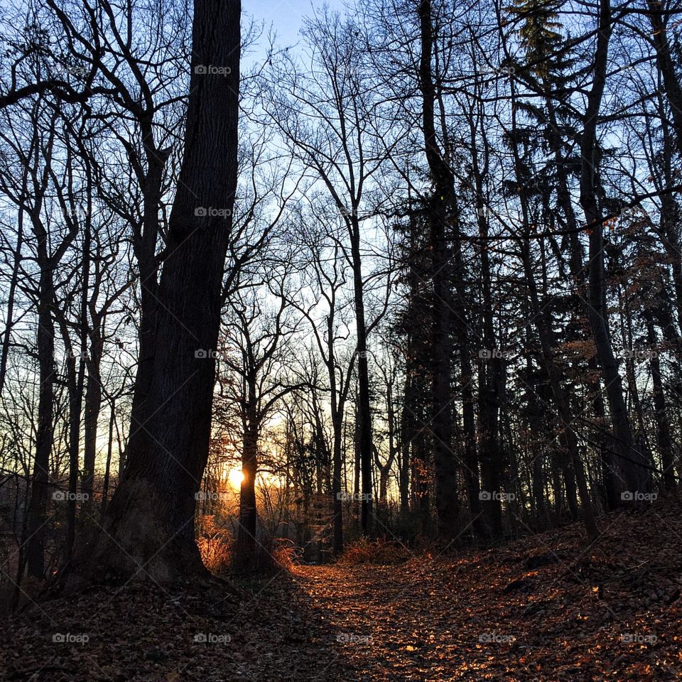 A gorgeous sunrise run this morning. 